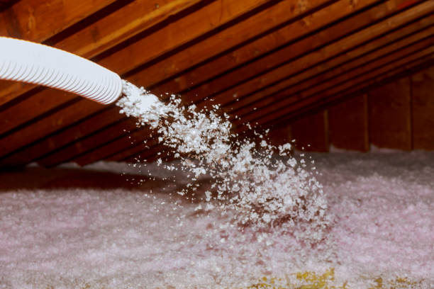 Best Insulation Contractor Near Me  in Taylor, MI