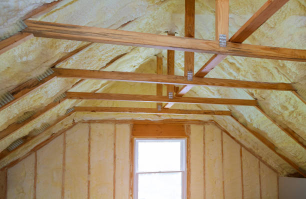 Best Spray Foam Insulation  in Taylor, MI