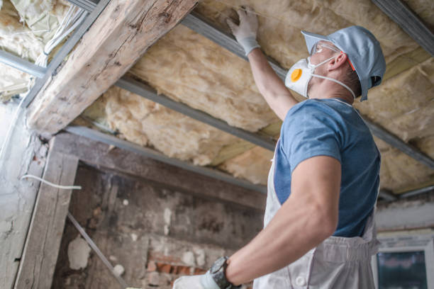 Best Crawl Space Insulation  in Taylor, MI