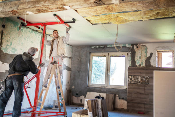 Best Affordable Insulation Services  in Taylor, MI