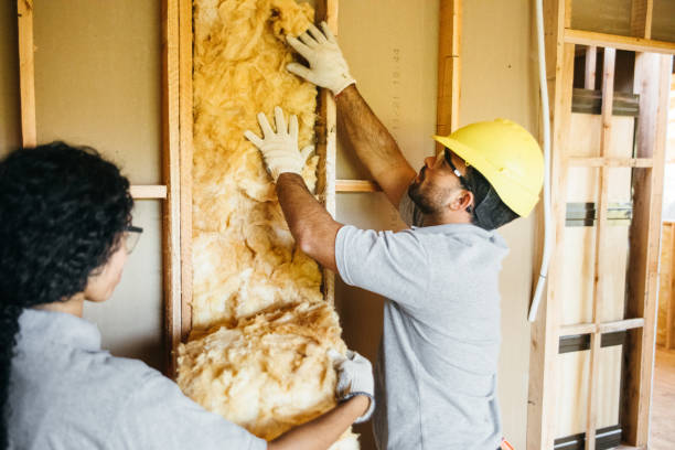 Best Insulation Contractors for Homes  in Taylor, MI