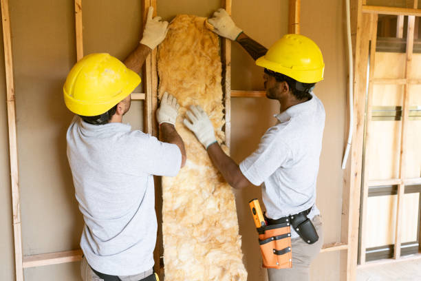 Best Professional Insulation Contractor  in Taylor, MI
