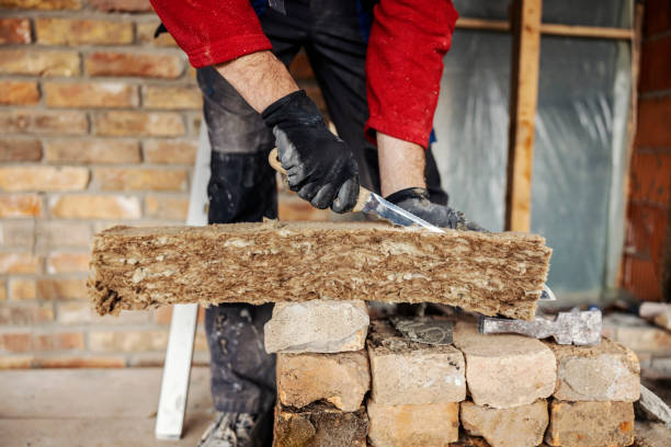 Best Attic Insulation Installation  in Taylor, MI